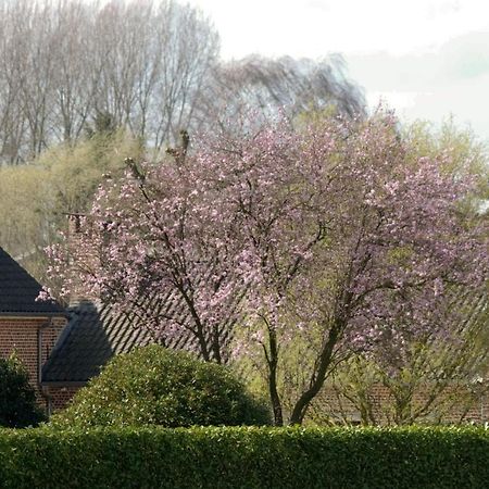 Bed and Breakfast De Rankhove Herne Esterno foto